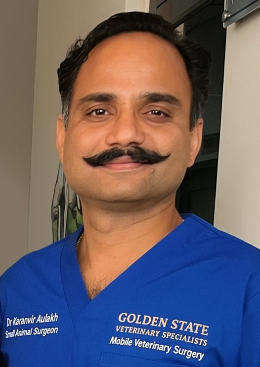 Profile for Karanvir Aulakh