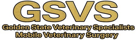 GSVS logo