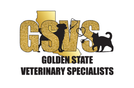 GSVS Logo