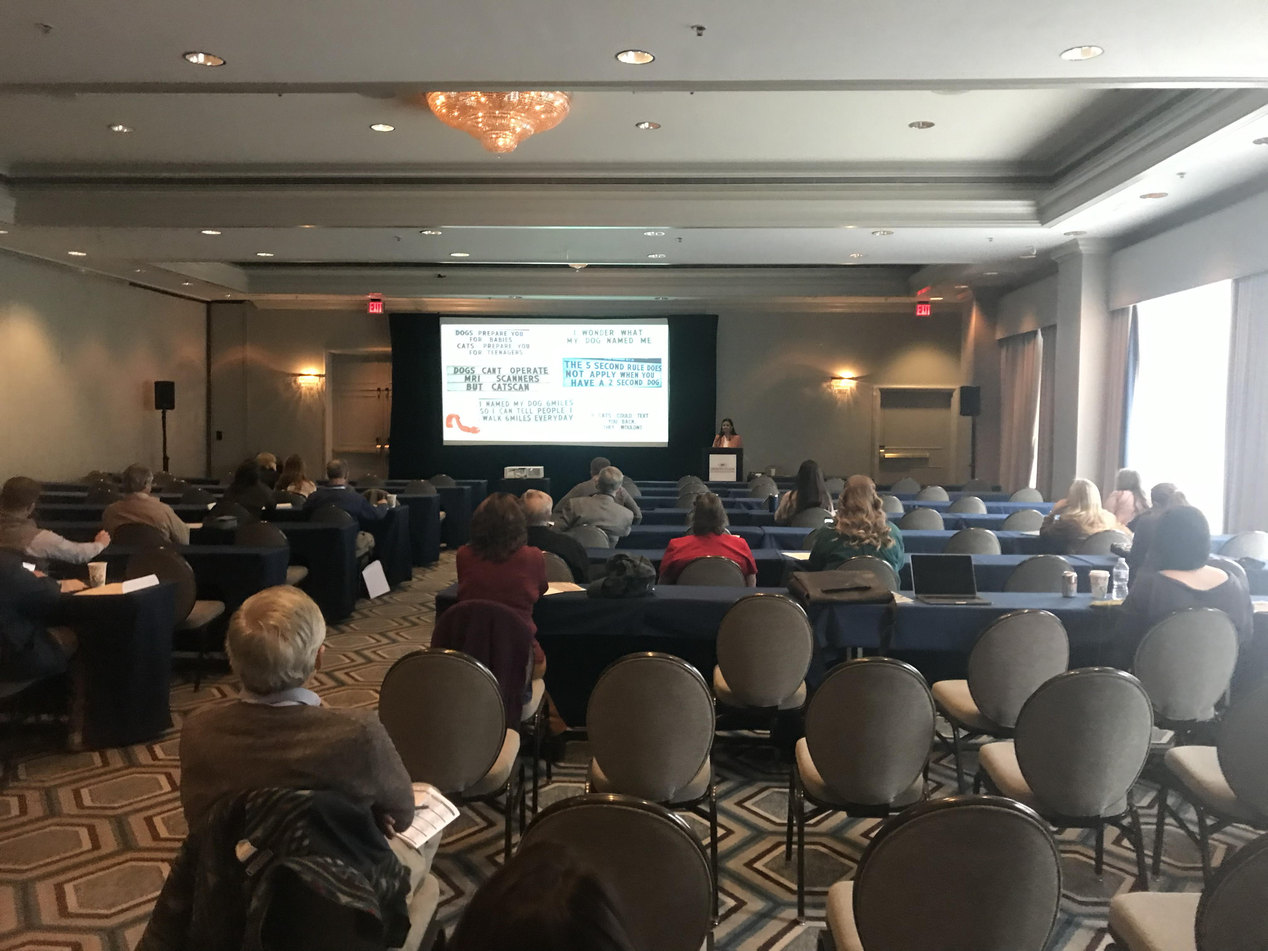 Dr. H Aulakh Lousiana Veterinary Medical Association (LVMA) CE Talk