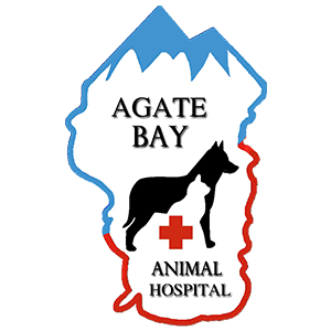 Agate Bay Logo
