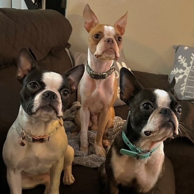 Boss in center, Izzy right and Chloe on the left 