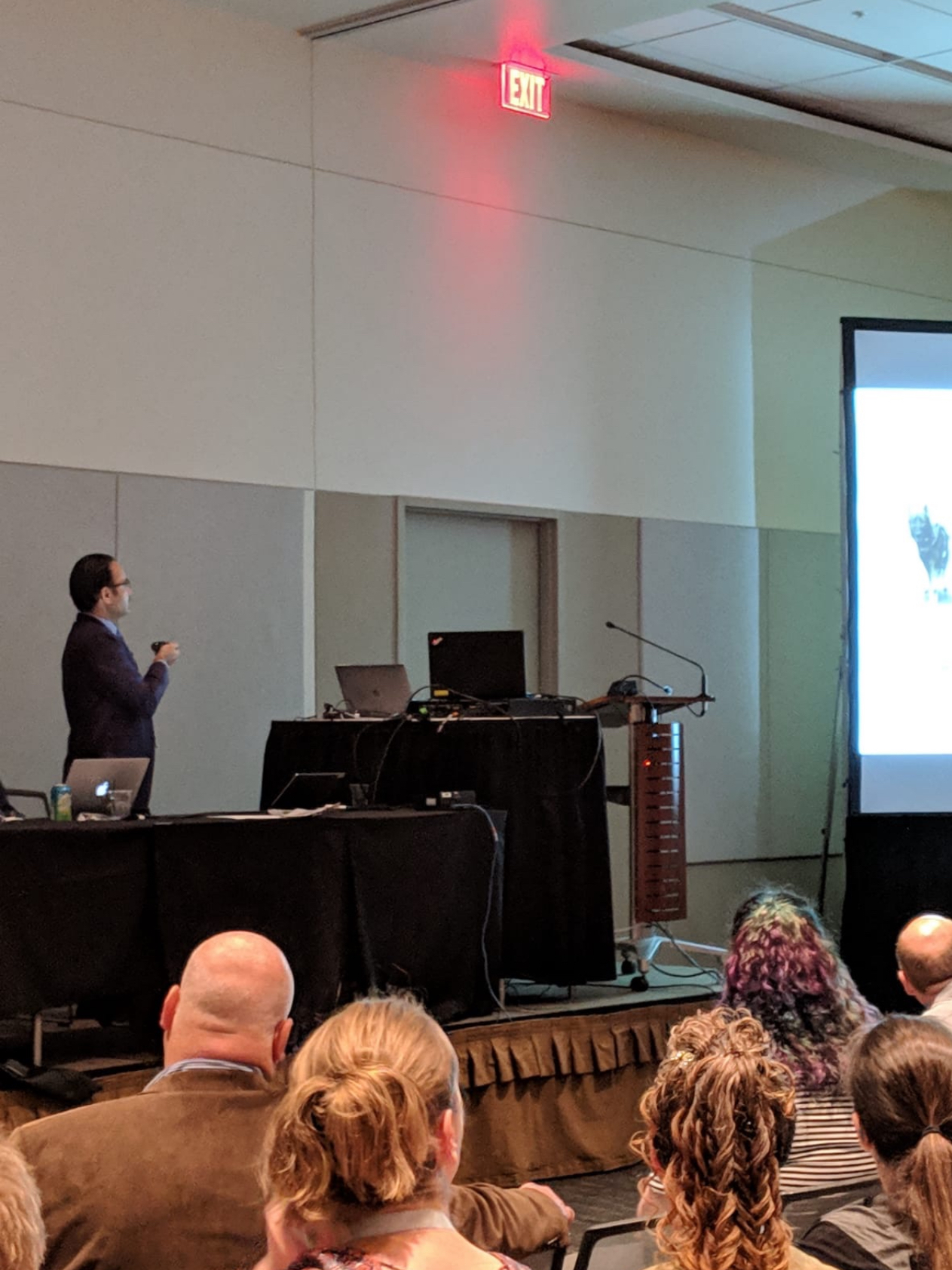 Dr. Aulakh ACVS (CE) Talk