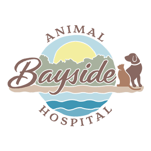 Bayside Animal Hospital