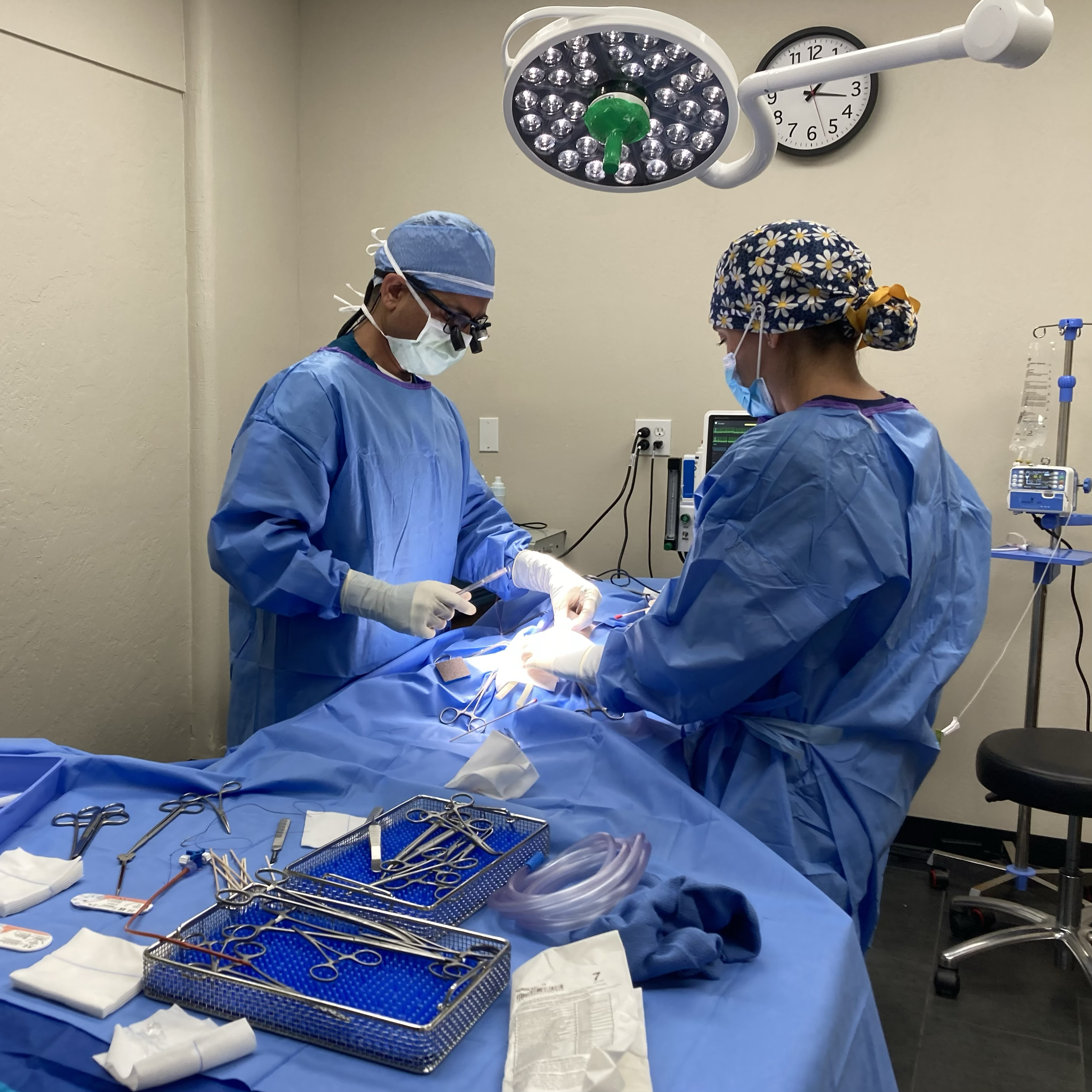 Operating Room Dr. K. Aulakh and our RVT, Whitney