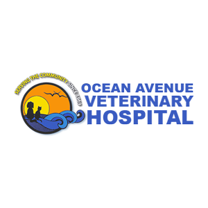 Logo Ocean Avenue Veterinary Hospital 