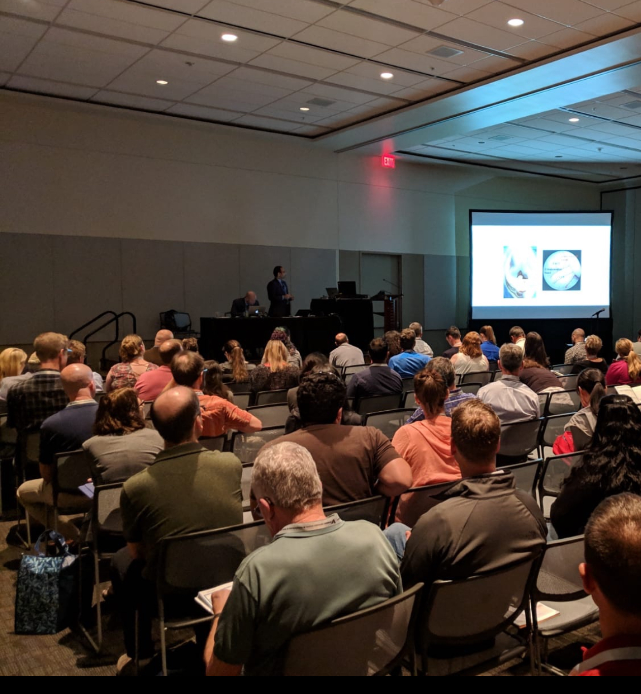 Dr. Aulakh ACVS (CE) Talk